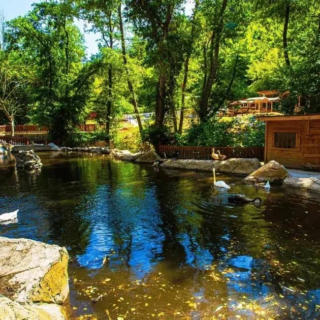 Polonezköy Tabiat Parkı