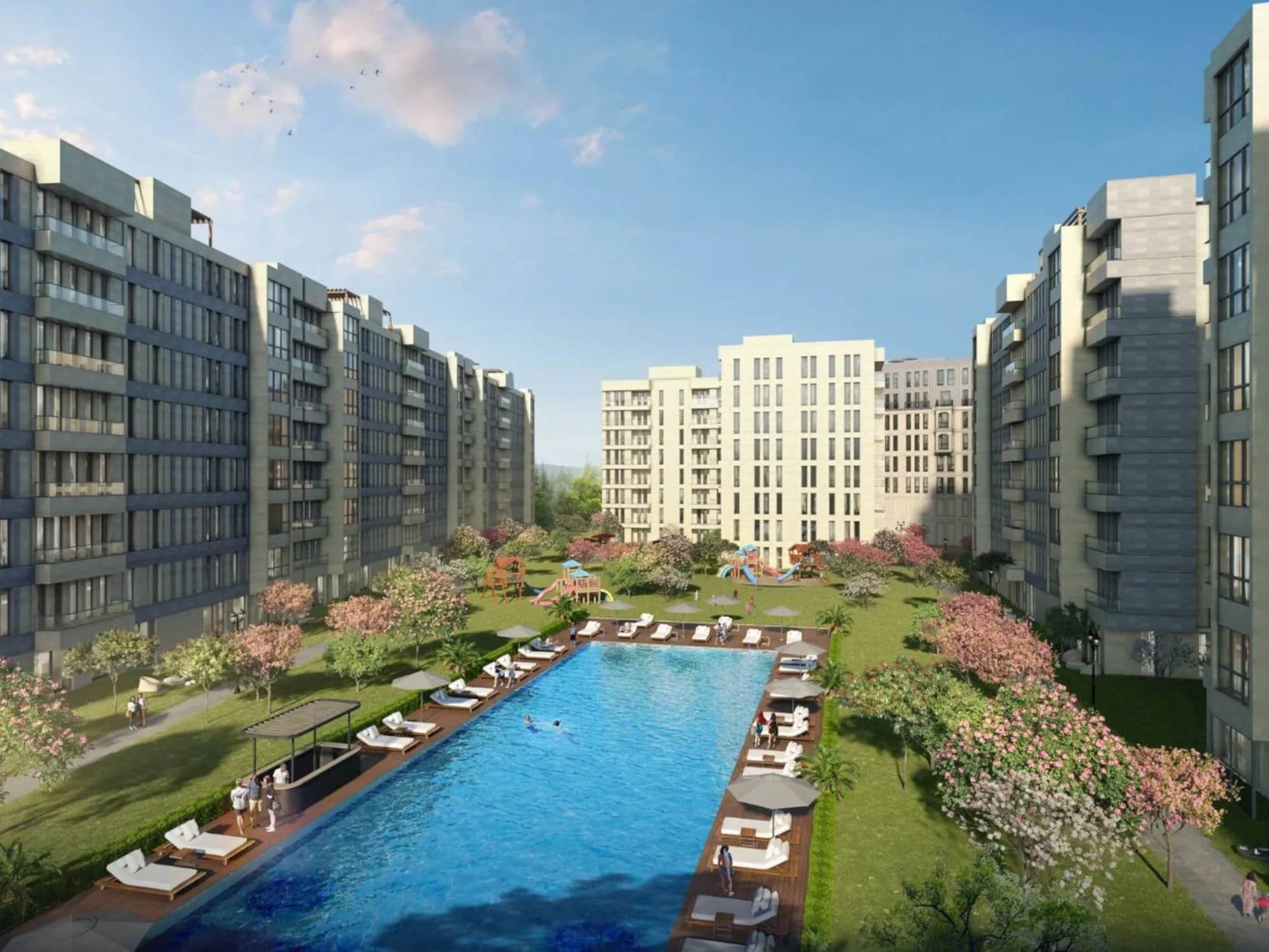 Meydan Ardıçlı