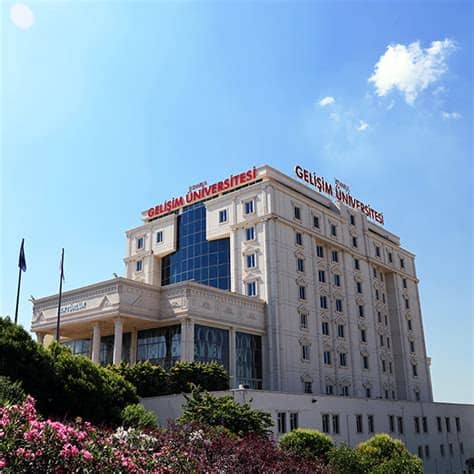 Gelişim Üniversitesi