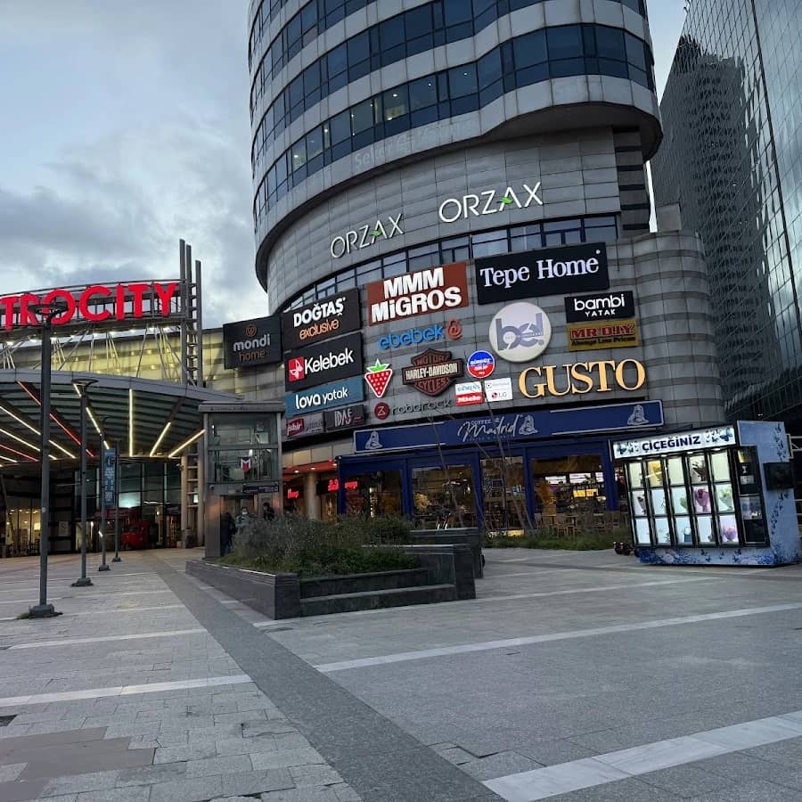 Metrocity AVM