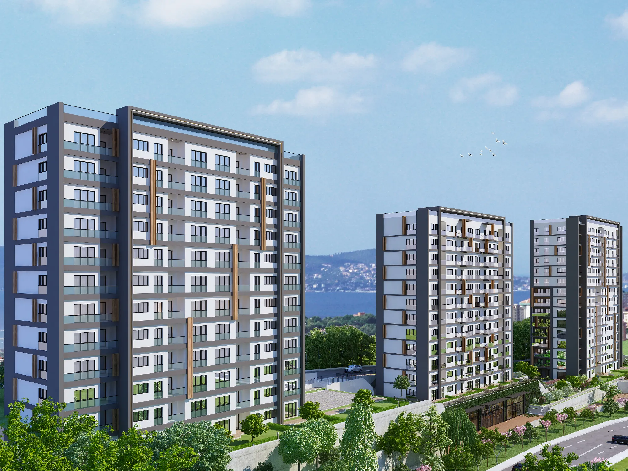 Akar Yapı