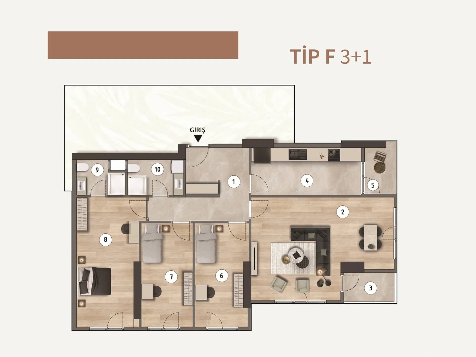 3+1, Tip F, No 11